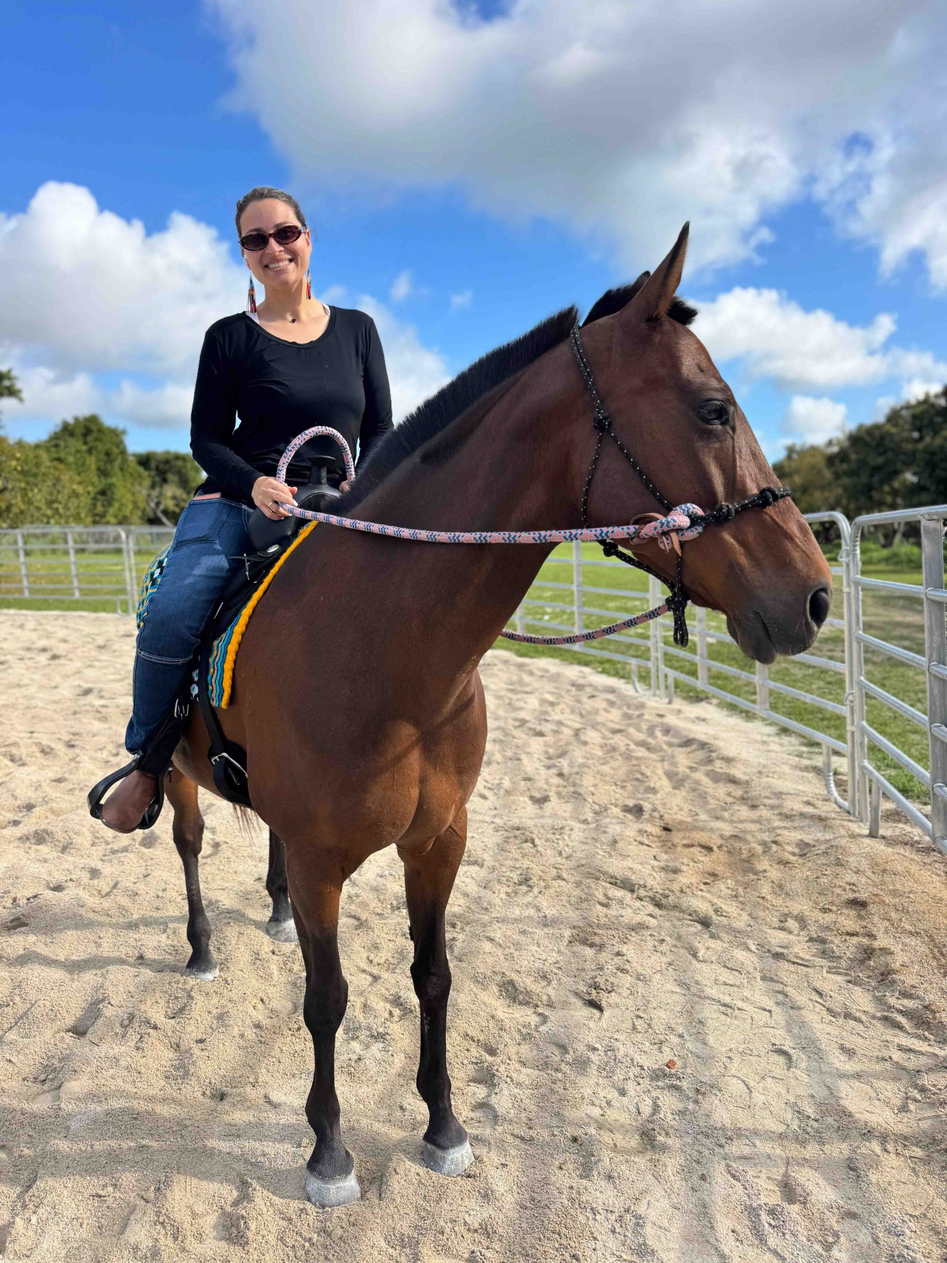 Horse Riding Lessons