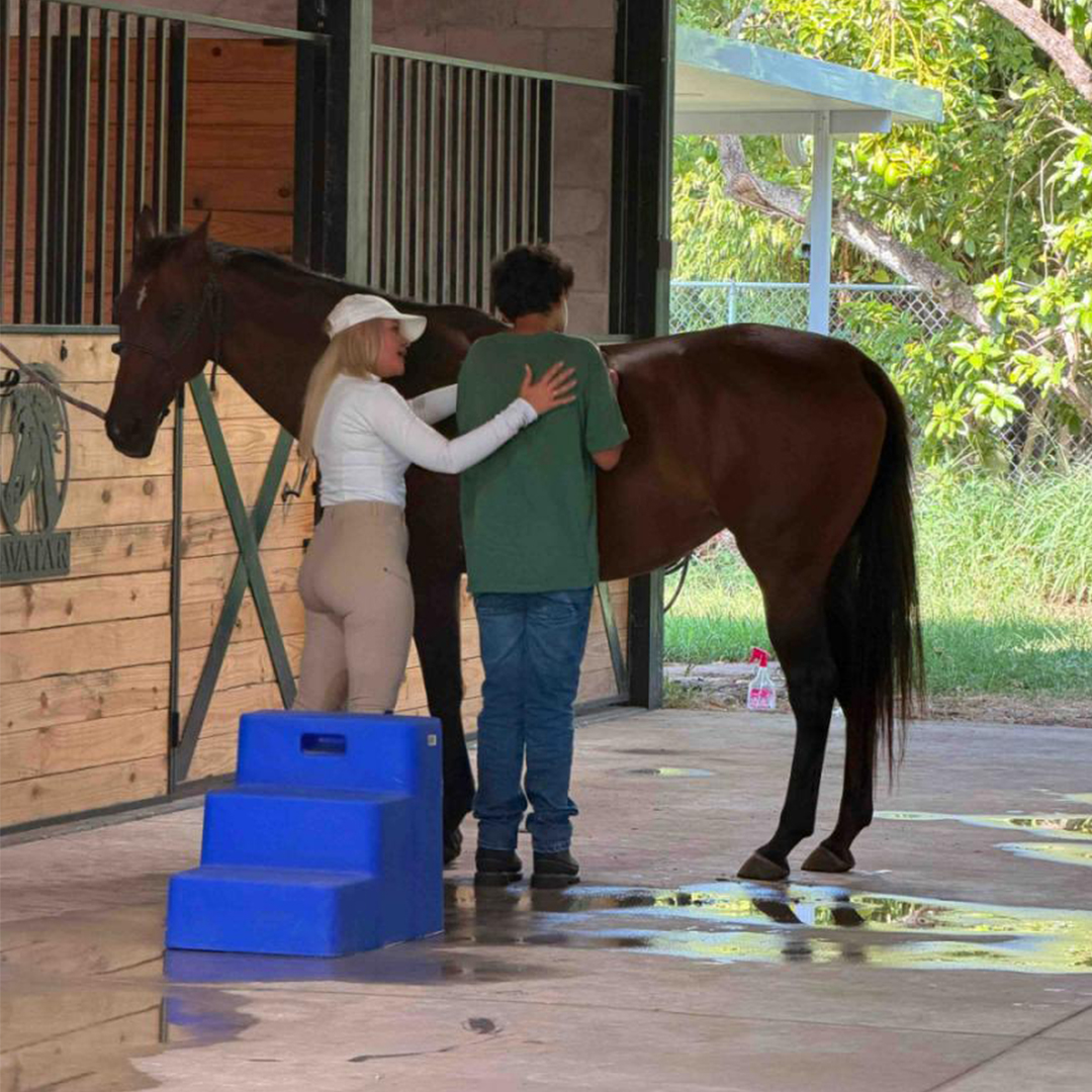 Equine-Assisted Stimulation Sessions