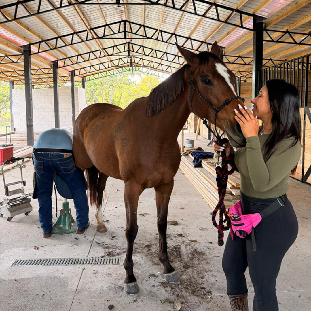 Horsemanship & Grooming
