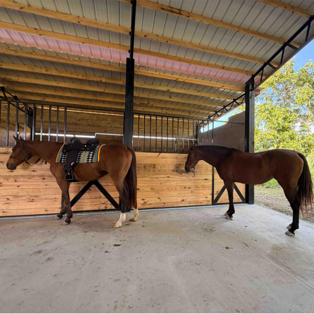 Horse Boarding
