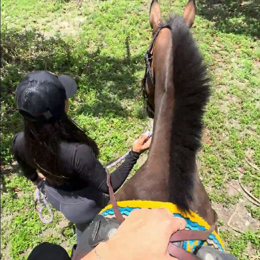 Trail Rides