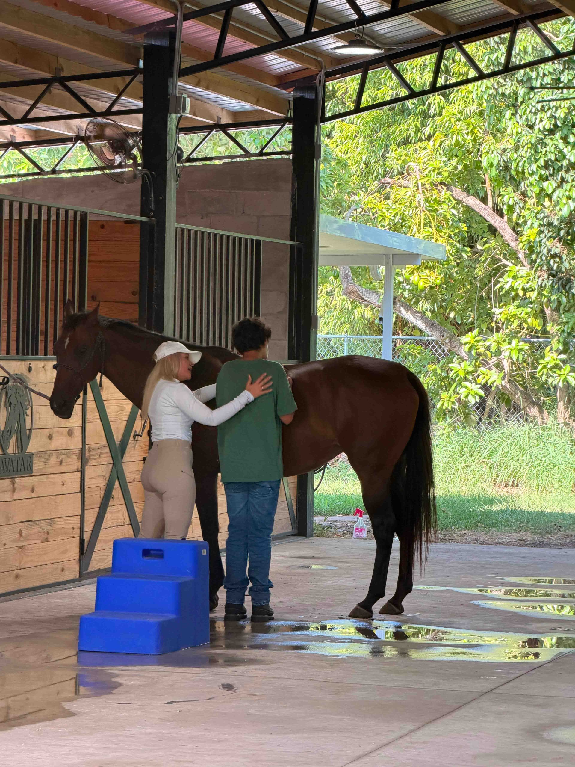 Equine-Assisted Stimulation Sessions