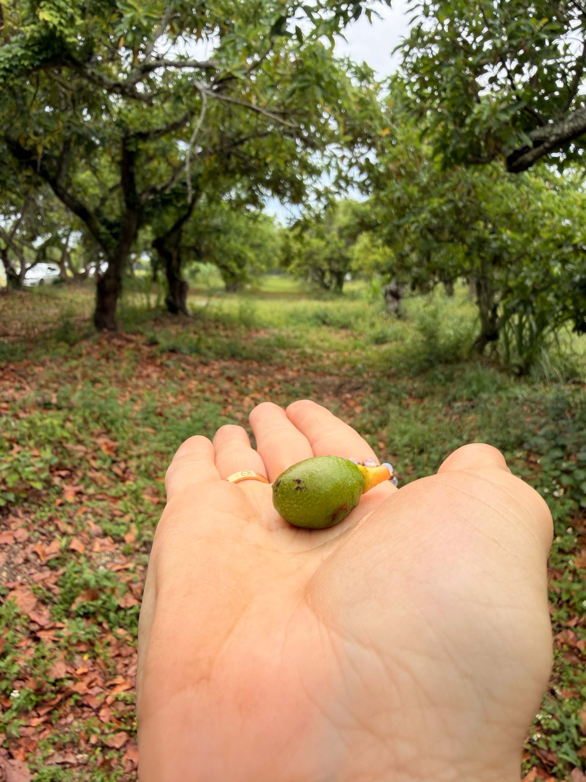 Farm Discovery Visit Photo 4