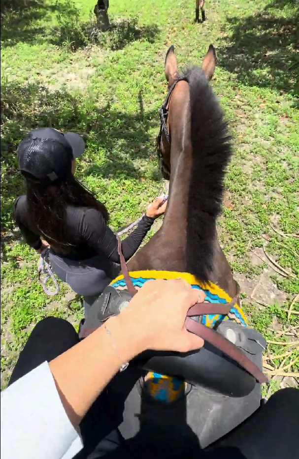 Trail Ride Scenic View 1