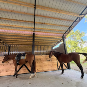 Horse Boarding